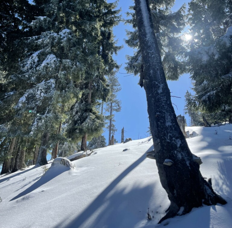 Raquettes forêt Luchon