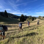 nature sauvage